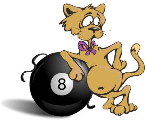 8 ball kitty